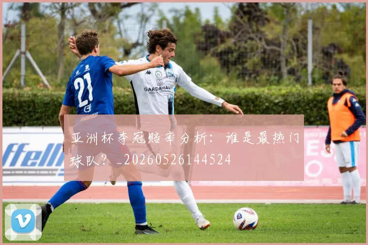 亚洲杯夺冠赔率分析：谁是最热门球队？_20260526144524